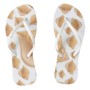 Coquille des tongs