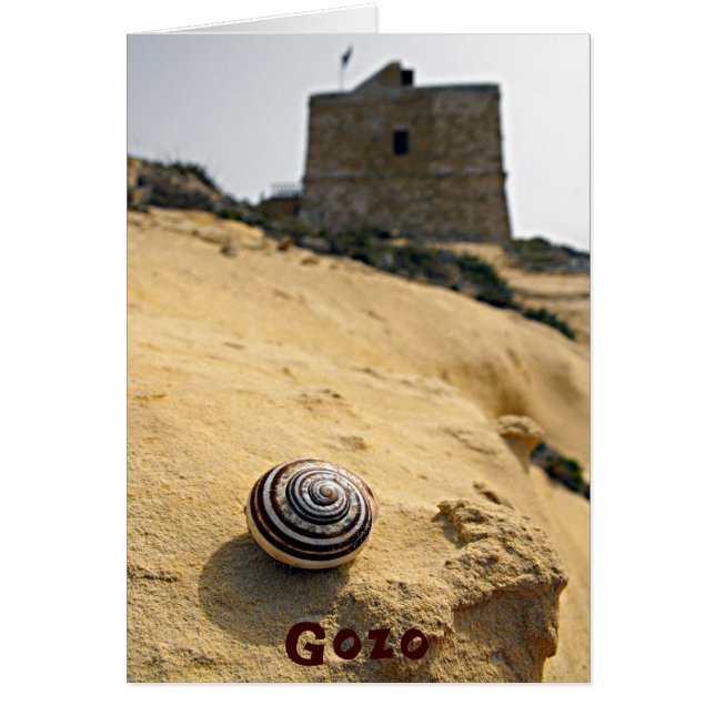 Coquille et tour, Gozo, Malte (Devant)