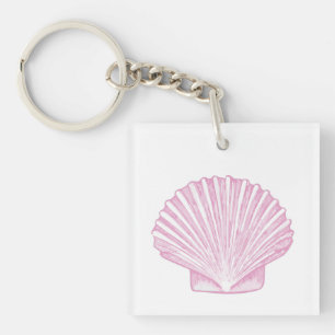 Coquille Saint-Jacques Rose Côtière