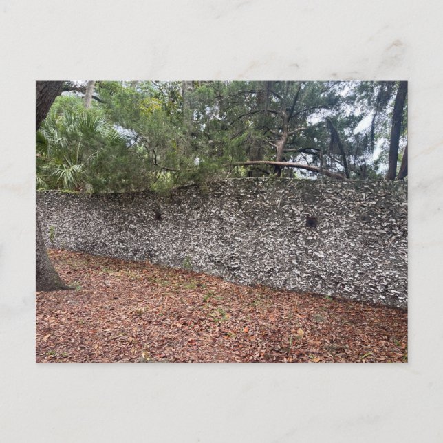 Coquina-Stützmauer Postkarte (Vorderseite)