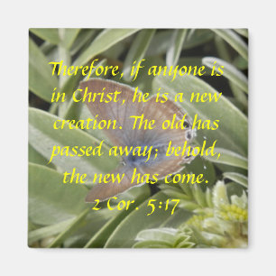 Cor 2. Aimant de papillon de 5h17