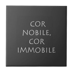 Cor nobile cimmobile fliese