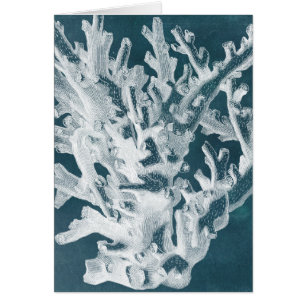 Corail azuré I