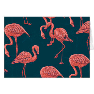 Corail vivant modèle flamingo