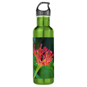 Coral Bush in Blüte Edelstahlflasche