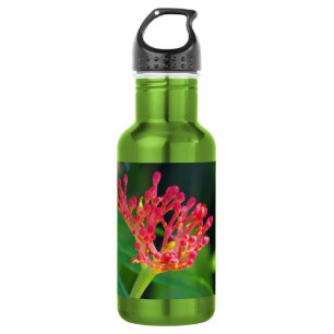 Coral Bush in Blüte Edelstahlflasche