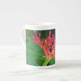 Coral Bush in Blüte Prozellantasse