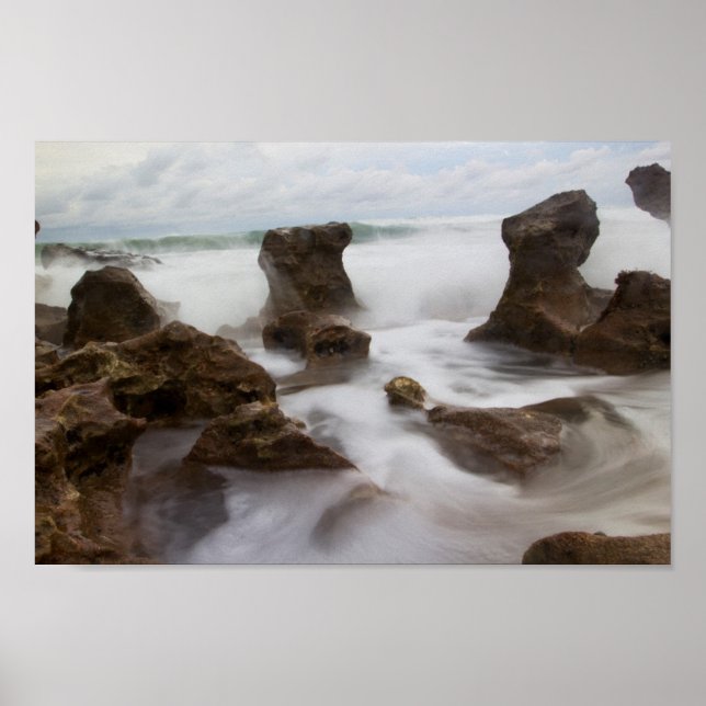 Coral Cove Park Beach, Florida Poster (Vorne)