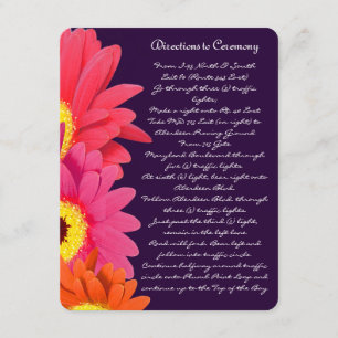 Coral Fuchsia Eggplant Gerber Daisy Direction Card Begleitkarte