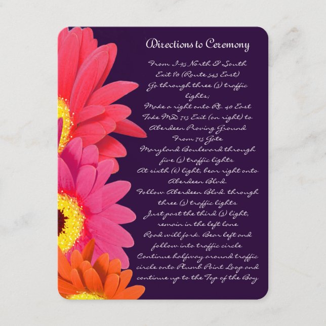 Coral Fuchsia Eggplant Gerber Daisy Direction Card Begleitkarte (Vorderseite)