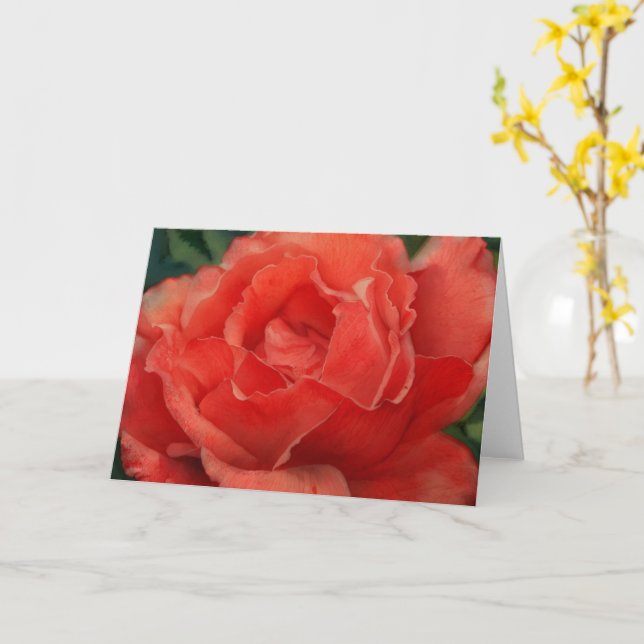 Coral Orange Rote Rose Art Note Card Karte (Gelbe Blume)