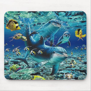 coral_pals_dolphins_1B, rollen ganz über mir Mousepad