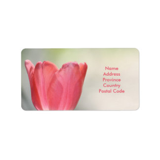 Coral Pink Garden Tulip Adressaufkleber