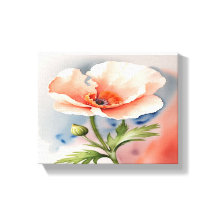 Coral Pink Poppy Blume Stretched Canvas Print