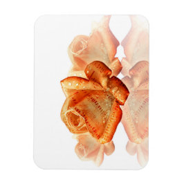Coral Rose Blossom mit Notenmusik Magnet