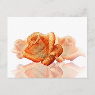 Coral Rose Blossom mit Notenmusik Postkarte