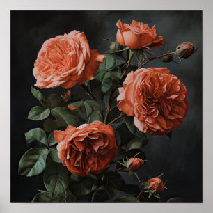 Coral Rose Flower Art Imprimer Poster