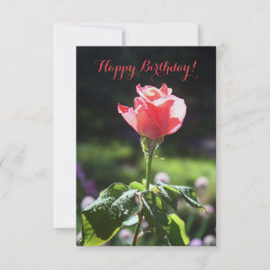 Coral Rose, Happy Birthday!, Sie passen Ihre Karte