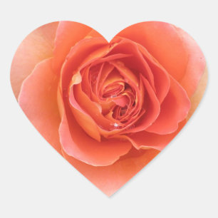 Coral Rose Heart Sticker