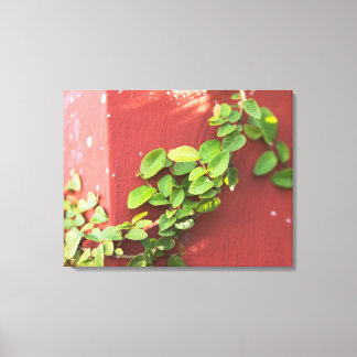 Coral Vine Canvas Print Leinwanddruck
