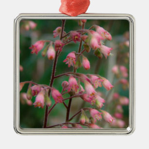 Coralbell-Blume Silbernes Ornament