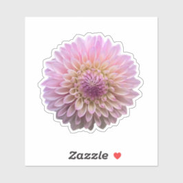 Coralie Dahlia Blume Aufkleber