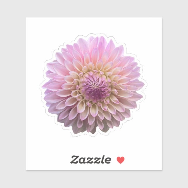 Coralie Dahlia Blume Aufkleber (Blatt)