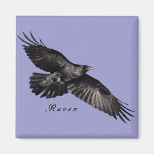 Corbeau Magnet