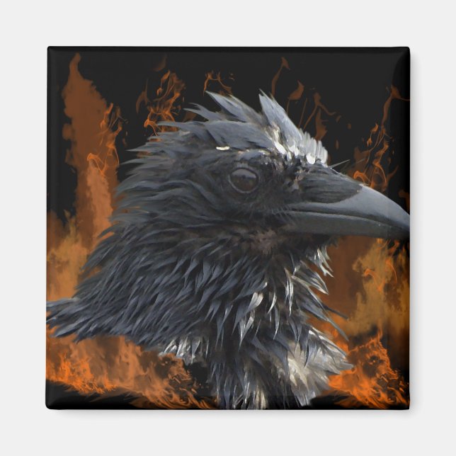 Corbeau Magnet (Devant)