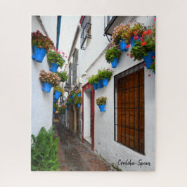 Cordoba Alleyway - das wirkliche Spanien