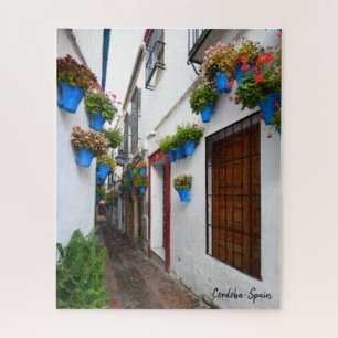 Cordoba Alleyway - das wirkliche Spanien