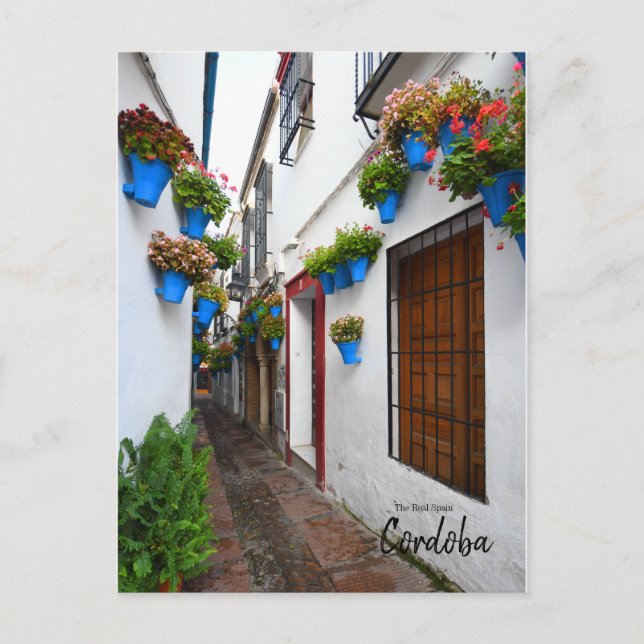 Cordoba Alleyway - Spanien Postkarte (Vorderseite)