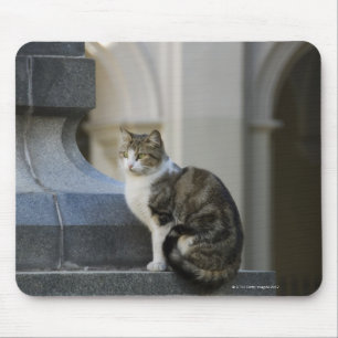Cordoba, Argentina Mousepad