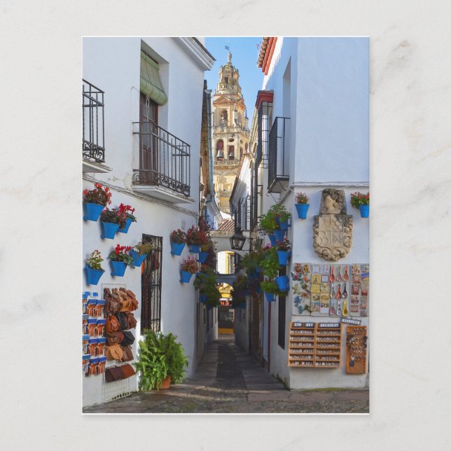 Cordoba Blume Street Postkarte (Vorderseite)