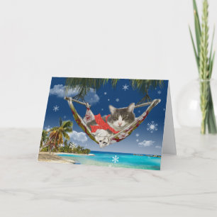 Corduroy dans les Caraïbes, Carte de voeux de vaca