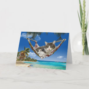 Corduroy dans les Caraïbes, chat en carte hamac