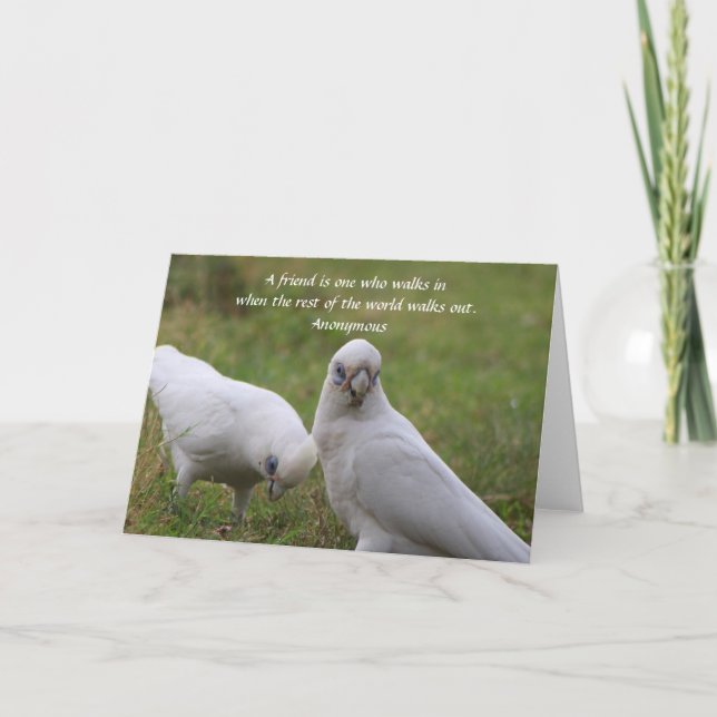 Corella Friendship Quote Grußkarte Dankeskarte (Vorderseite)