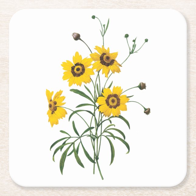 coreopsis(Coreopsis elegans) von Redouté Rechteckiger Pappuntersetzer (Vorderseite)
