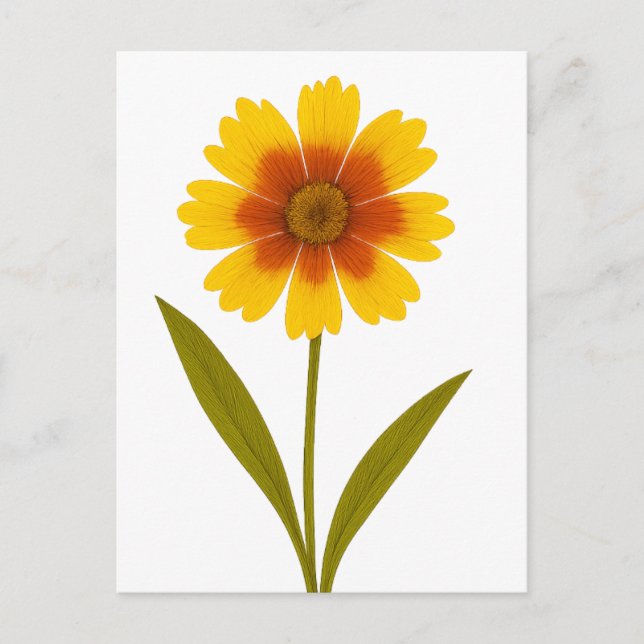 Coreopsis — Fröhlichkeit Postkarte (Vorderseite)