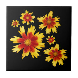 Coreopsis Gold und Bronze Tickseed Blume Medley Fliese