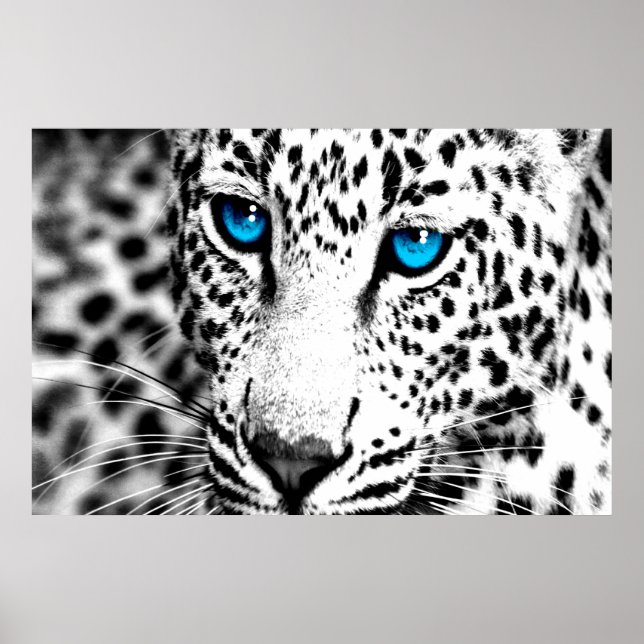 Corey Tiger 80er Retro Leopard Poster (Vorne)