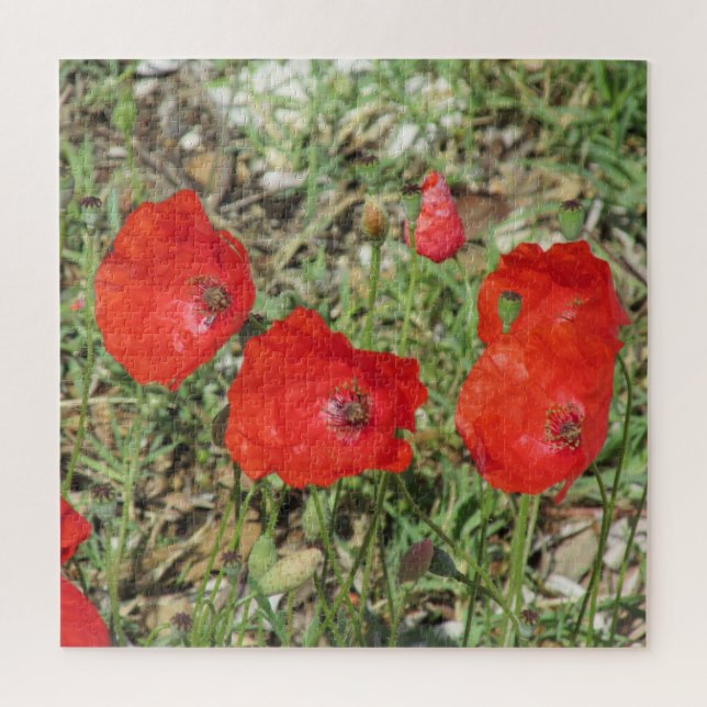 Corfu Red Poppies Jigsaw Puzzle (Vertikal)