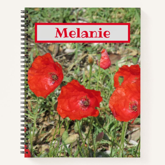 Corfu Red Poppies Notizbuch (Vorderseite)