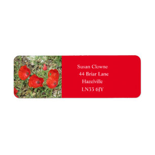 Corfu Red Poppies Retourner l'adresse Étiquettes