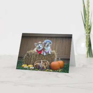 Corgi agriculteur et carte vierge d'épouse