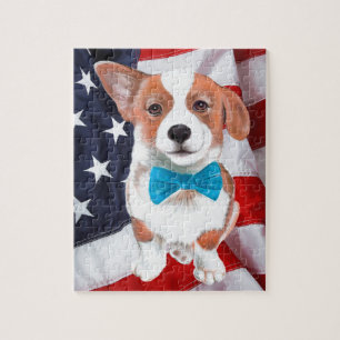 Corgi Amerika