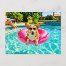 Corgi auf Donut-Schwimmring
