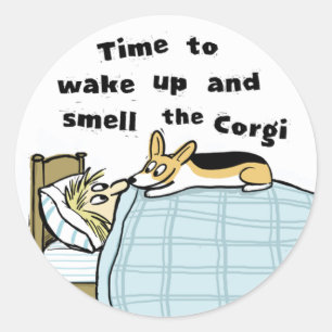 Corgi - Aufwachen und den Corgi riechen Runder Aufkleber