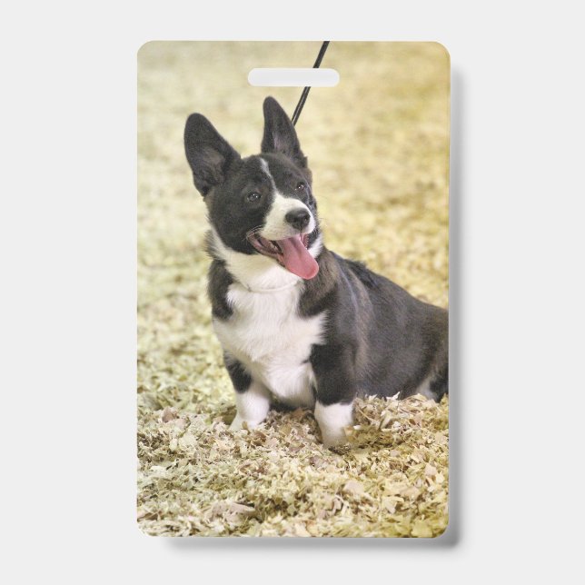 Corgi Ausweis (Vorderseite)