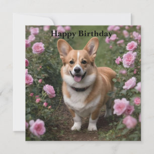 Corgi dans les roses roses, carte d'anniversaire